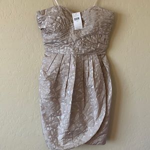 NWT Max and Cleo strapless dress size 6 holiday event